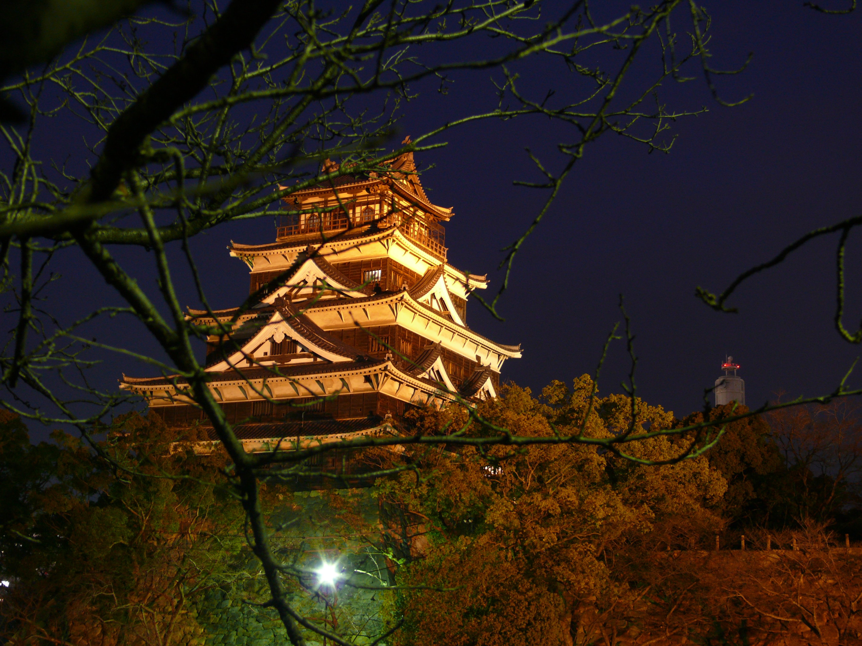 Hiroshima Castle at night