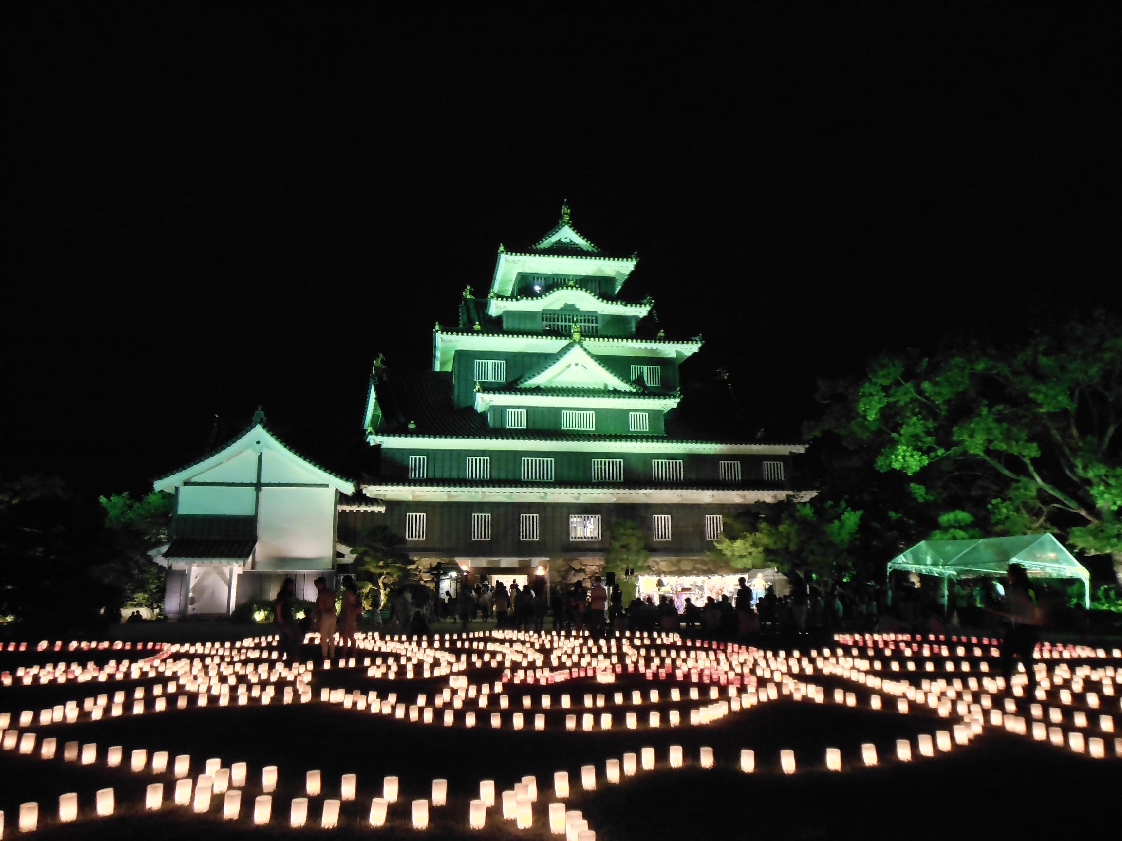 Okayama Castle at night