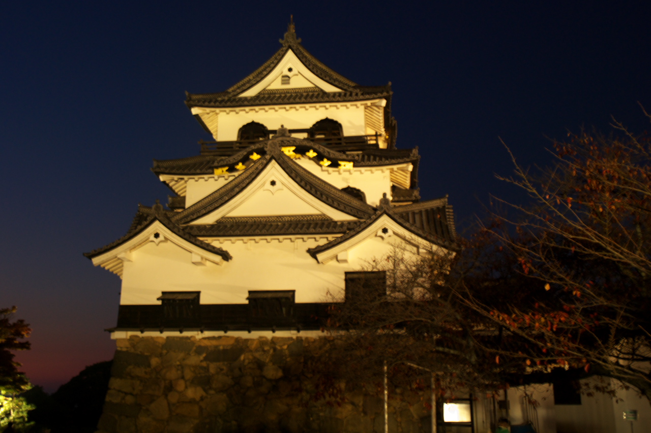 Hikone Castle night view