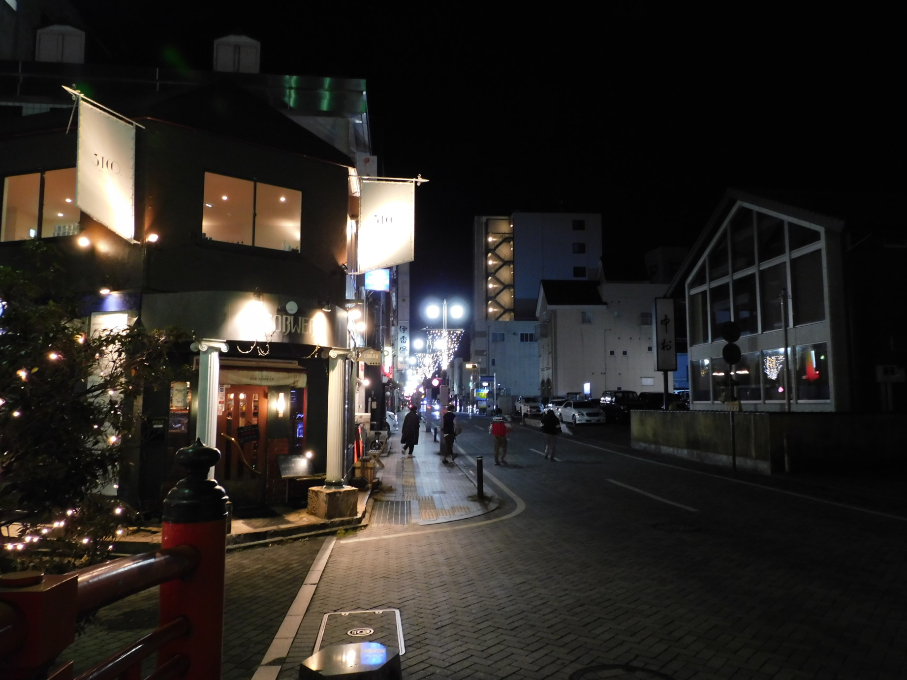 Utsunomiya night street