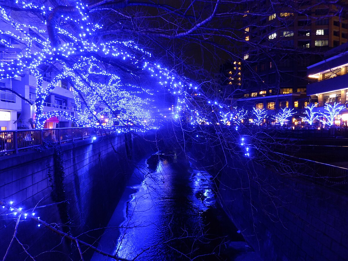 Meguro River at night